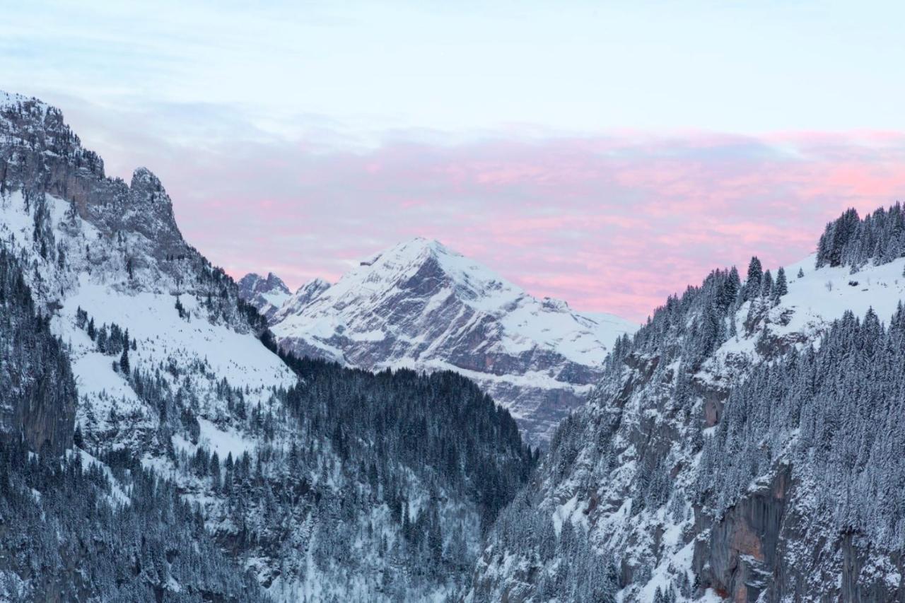 Rockypop Flaine Appartements & Spa ภายนอก รูปภาพ